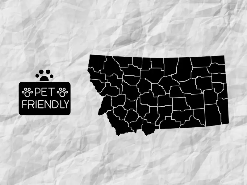 Montana pets