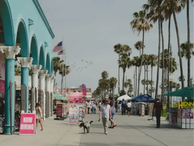 Pet Friendly Hotel in Los Angeles Best Areas & Policies