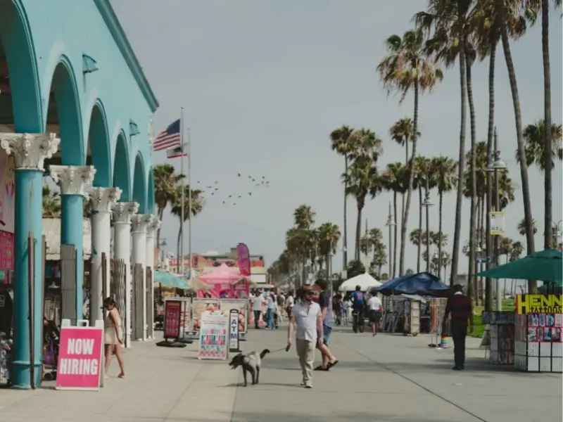 Pet Friendly Hotel in Los Angeles Best Areas & Policies