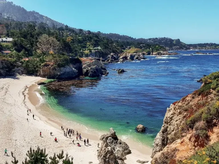 Pet Friendly Hotels in Carmel: Beachside Stays