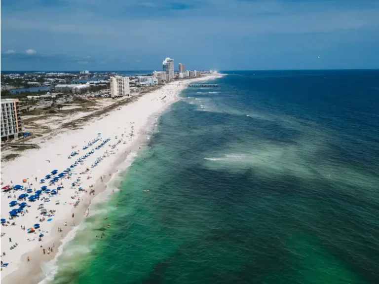 Pet Friendly Hotels in Gulf Shores AL: Beach Access & Dog Rules