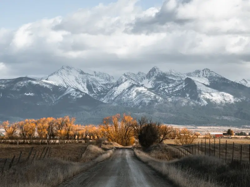 Pet Friendly Hotels in Montana