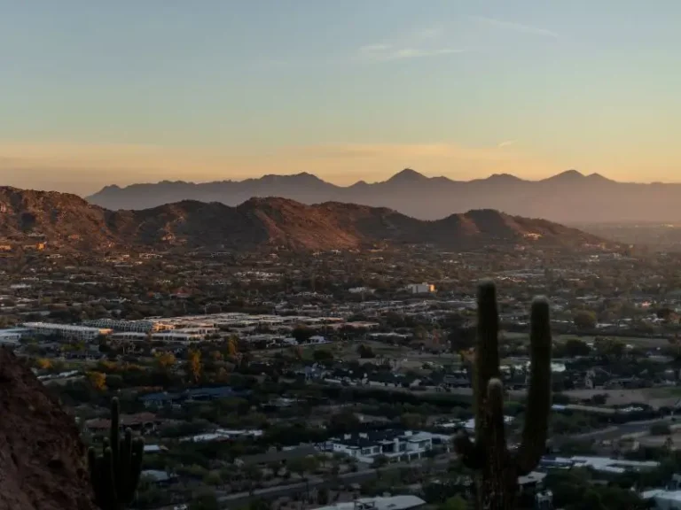 Pet Friendly Hotels in Phoenix: Policies, Areas & Resorts