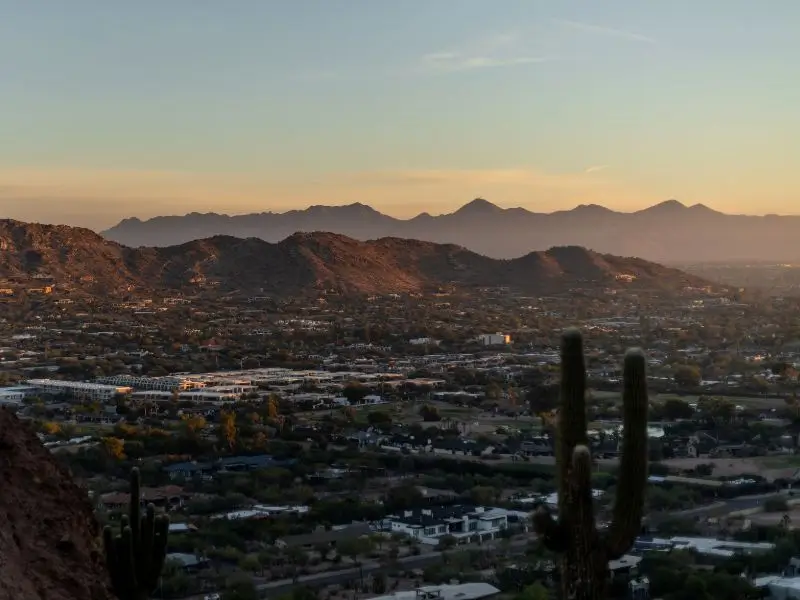 Pet Friendly Hotels in Phoenix: Policies, Areas & Resorts