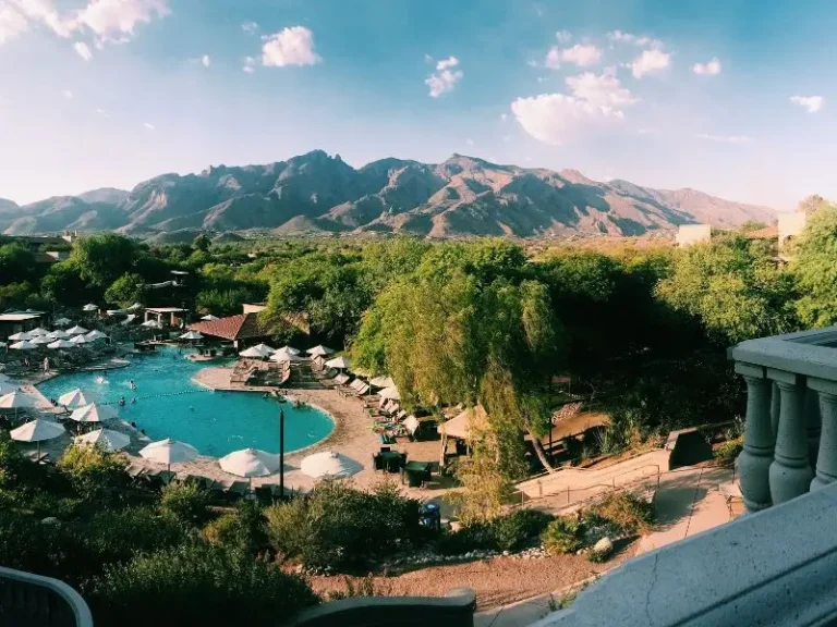 Pet Friendly Hotels in Tucson: Fees, Areas & Dog Walks