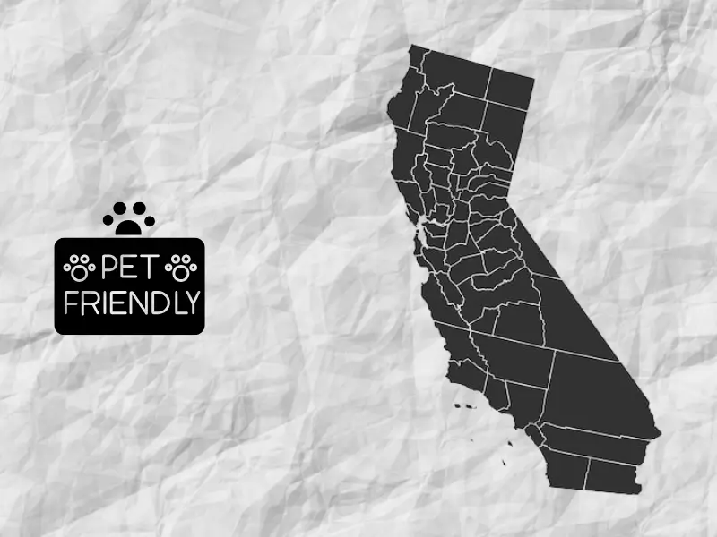 california pets