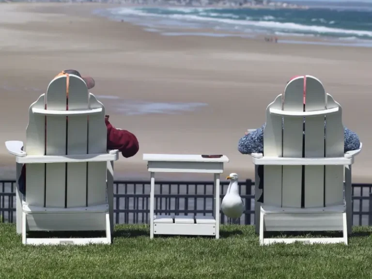 Best Pet Friendly Hotels in Ogunquit