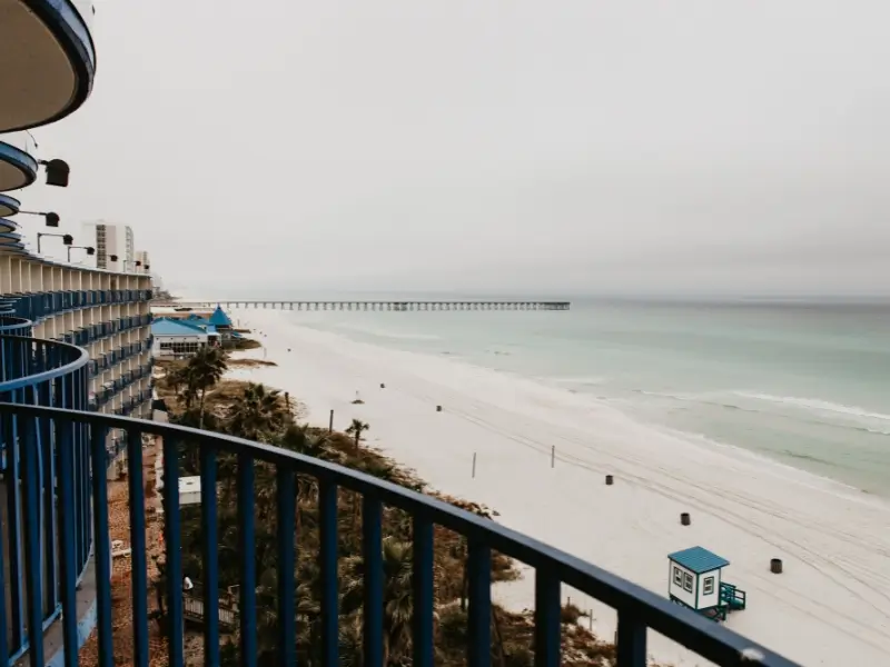 Dog-friendly things to do in Panama City Beach