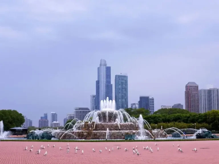 Pet Friendly Hotels in Chicago