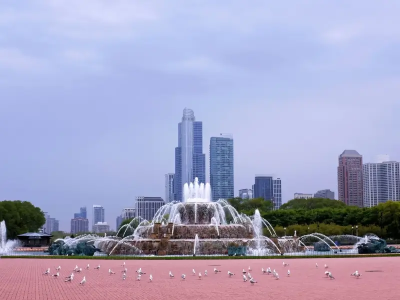 Pet Friendly Hotels in Chicago