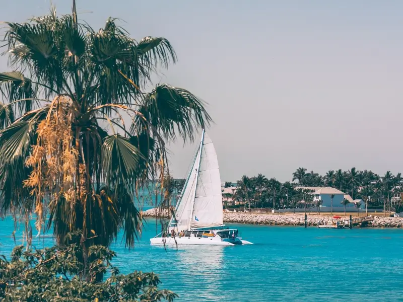 Pet Friendly Hotels in Key West