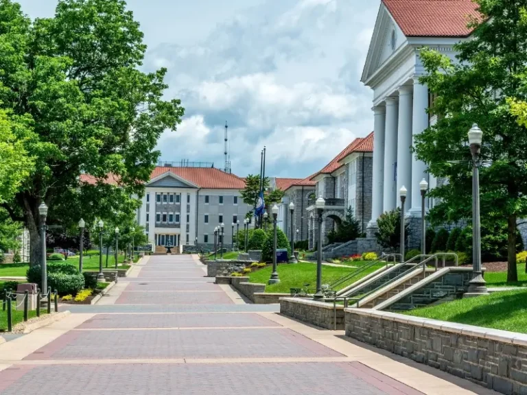 Pet Friendly Hotels in Lexington