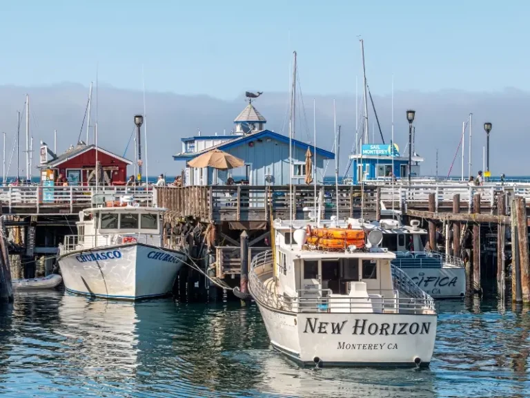 Pet Friendly Hotels in Monterey