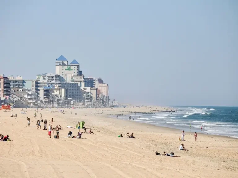 Pet Friendly Hotels in Ocean City