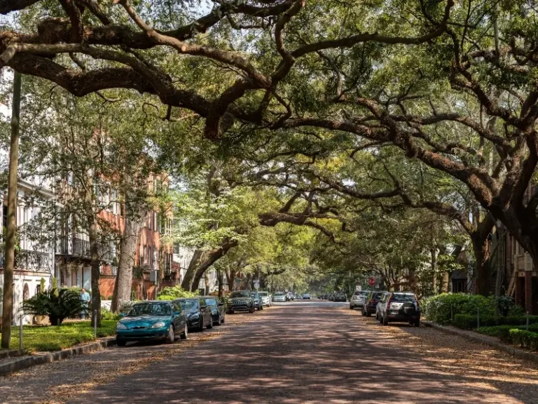 Pet Friendly Hotels in Savannah